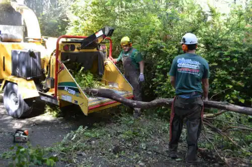 tree services Buford